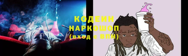 хмурый Инта