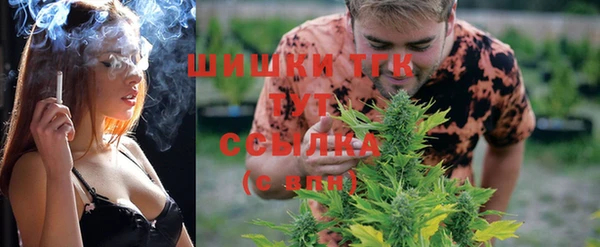 a pvp Богородицк