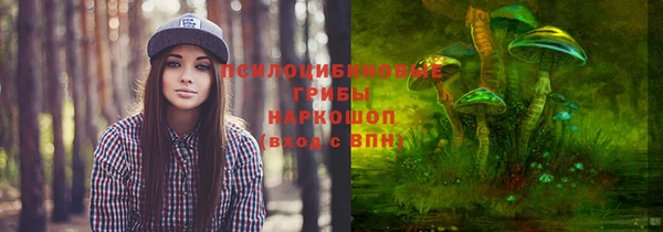 героин Богданович