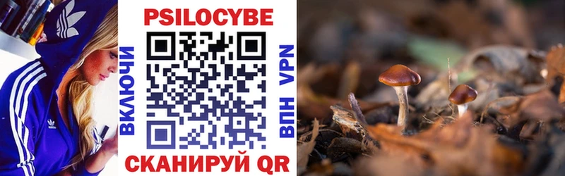 закладка  Сковородино  Псилоцибиновые грибы MAGIC MUSHROOMS 